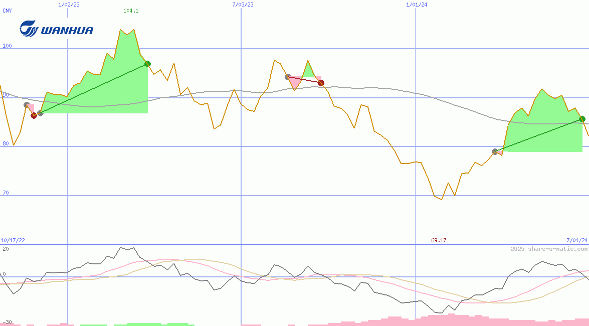 Wanhua Chemical Group Co Ltd