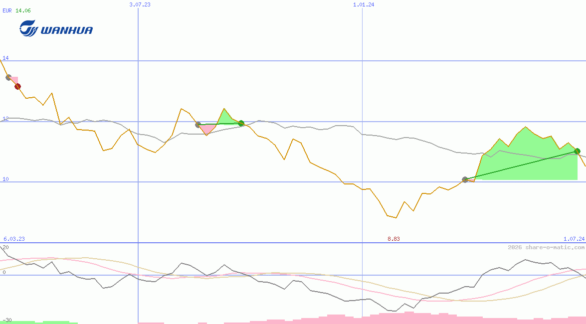 Wanhua Chemical Group Co Ltd