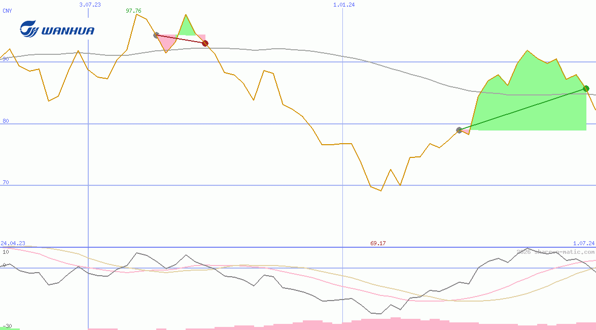 Wanhua Chemical Group Co Ltd