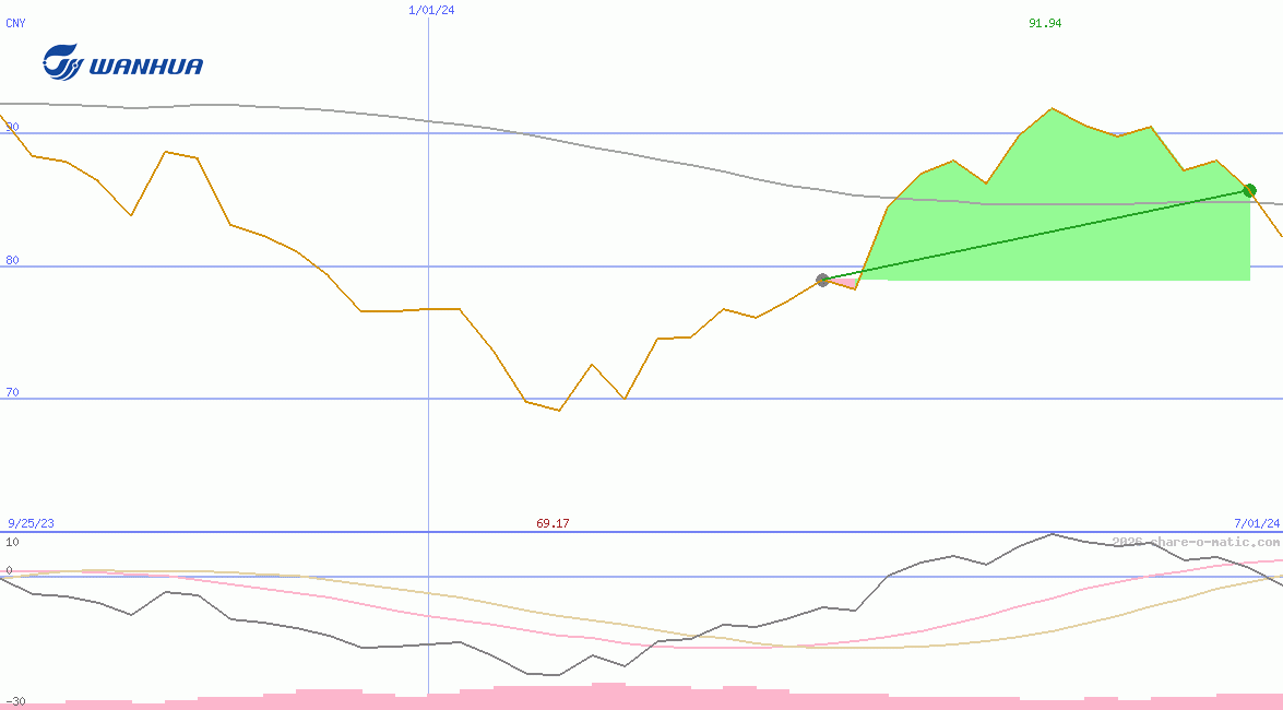 Wanhua Chemical Group Co Ltd