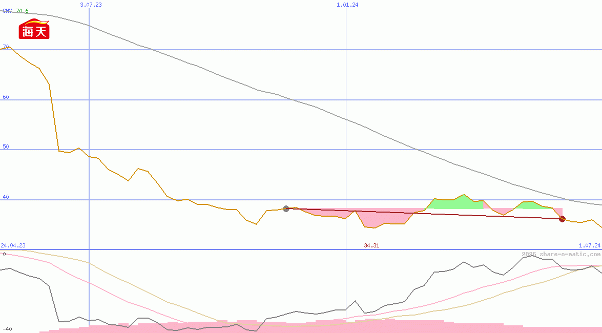 Foshan Haitian Flavouring and Food Co Ltd