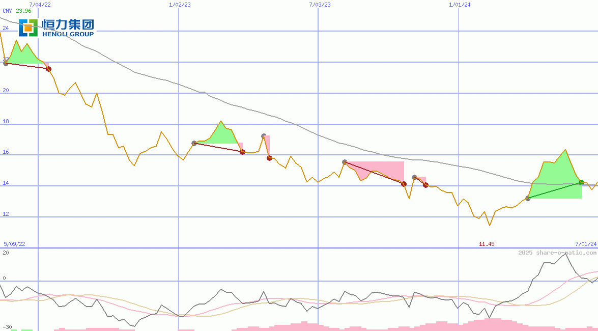 Hengli Petrochemical Co Ltd