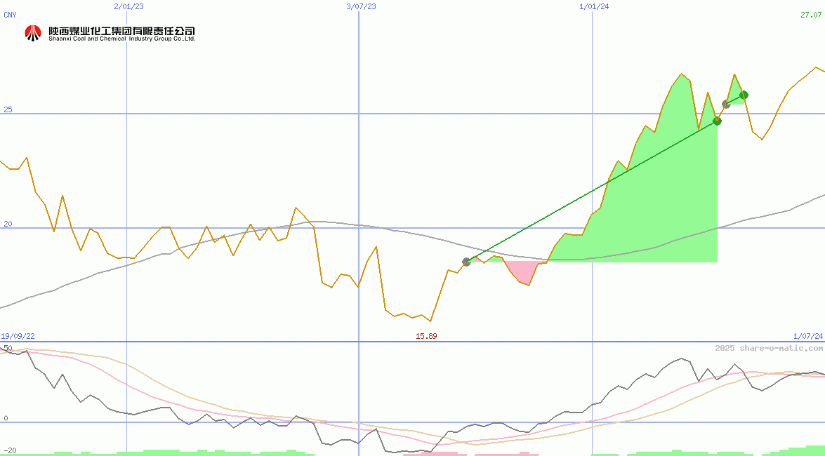 Shaanxi Coal Industry Co Ltd