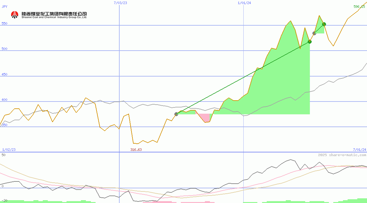Shaanxi Coal Industry Co Ltd