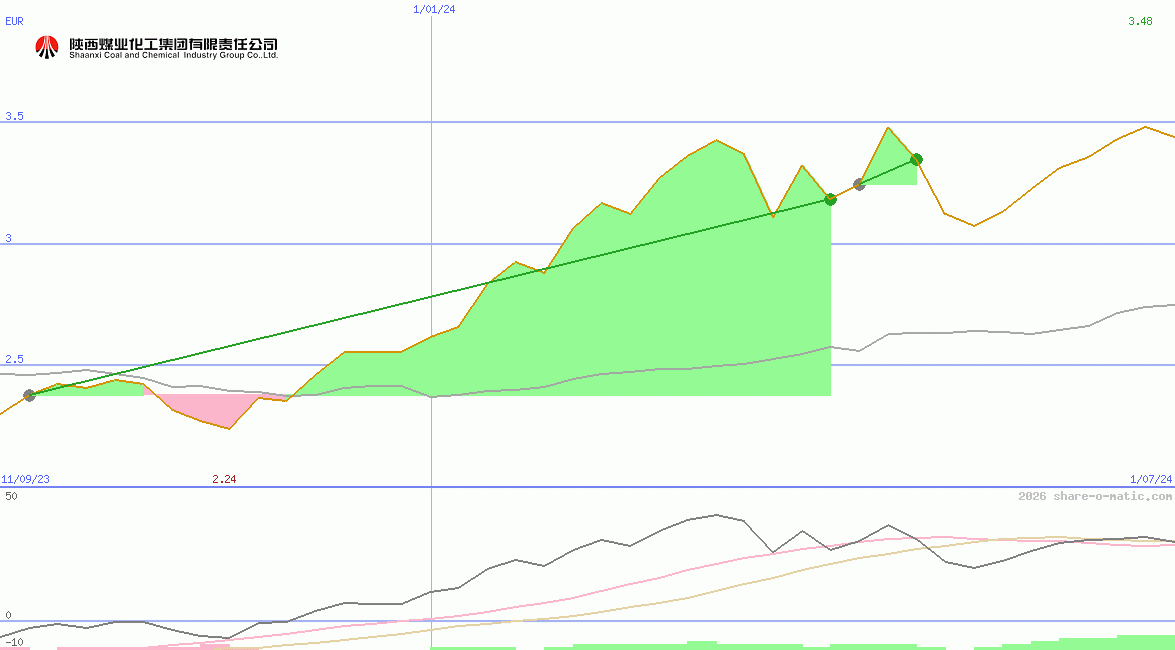 Shaanxi Coal Industry Co Ltd