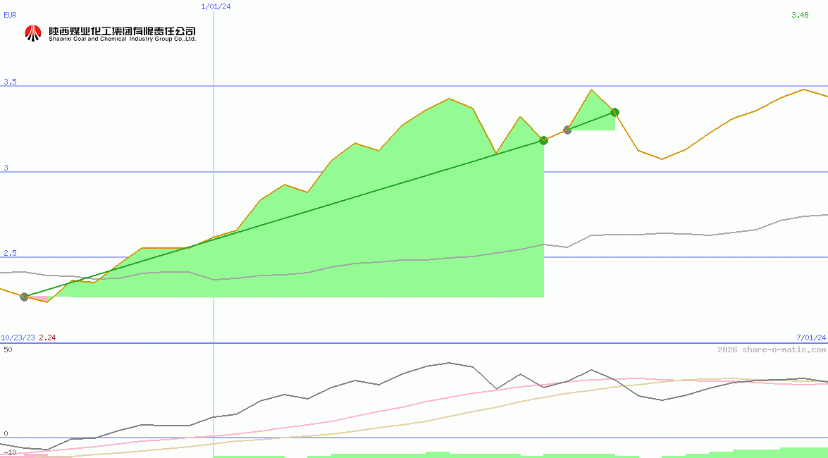 Shaanxi Coal Industry Co Ltd