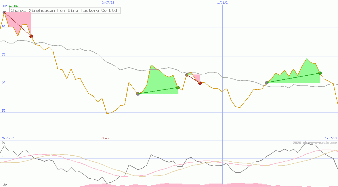 Shanxi Xinghuacun Fen Wine Factory Co Ltd