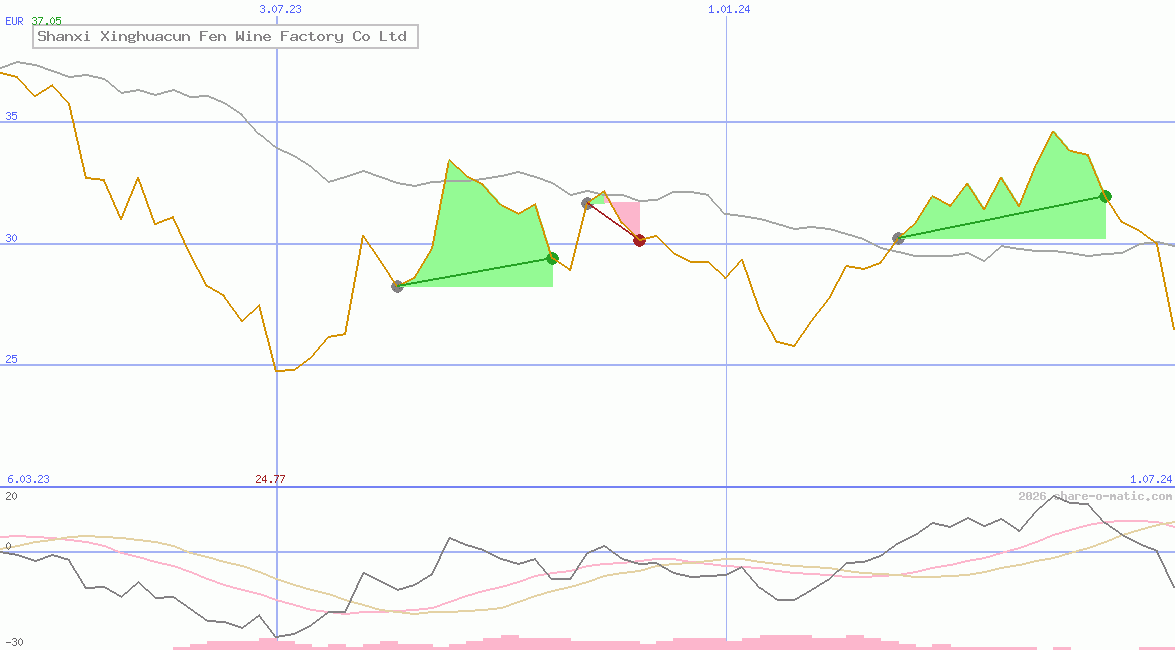 Shanxi Xinghuacun Fen Wine Factory Co Ltd