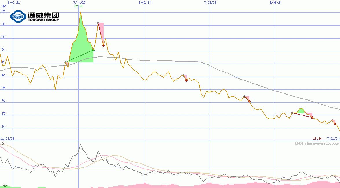 Tongwei Co Ltd