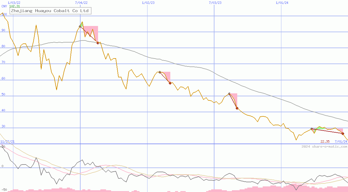 Zhejiang Huayou Cobalt Co Ltd