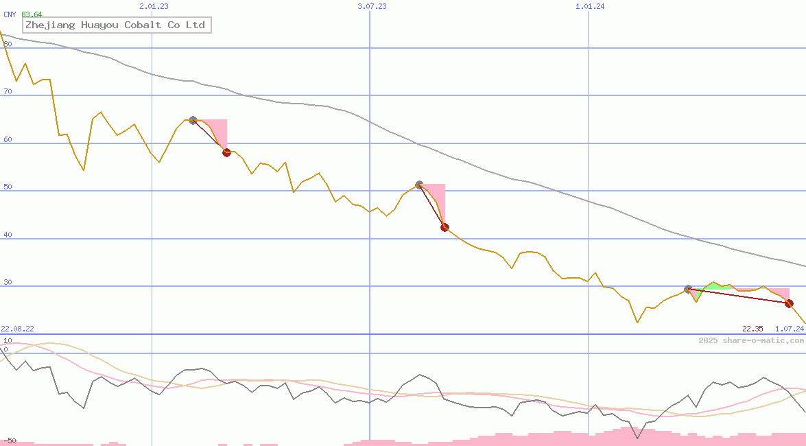 Zhejiang Huayou Cobalt Co Ltd