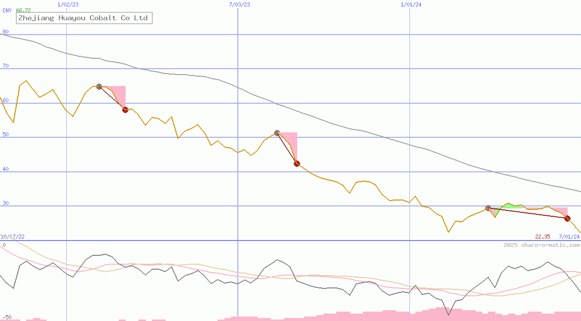 Zhejiang Huayou Cobalt Co Ltd
