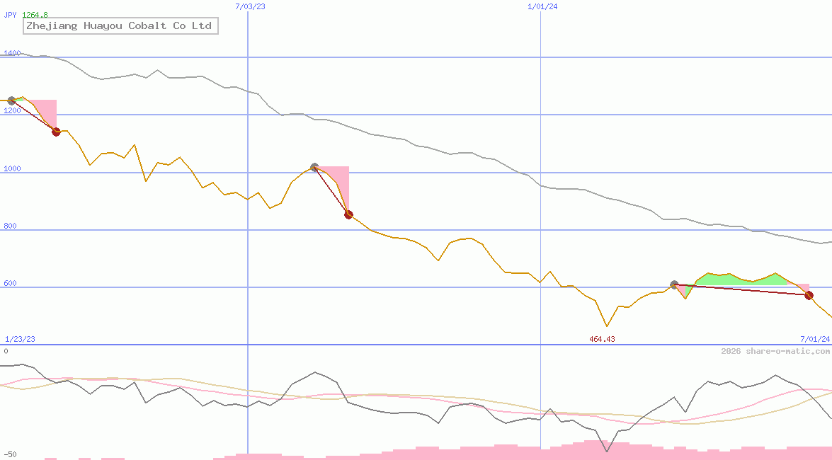 Zhejiang Huayou Cobalt Co Ltd