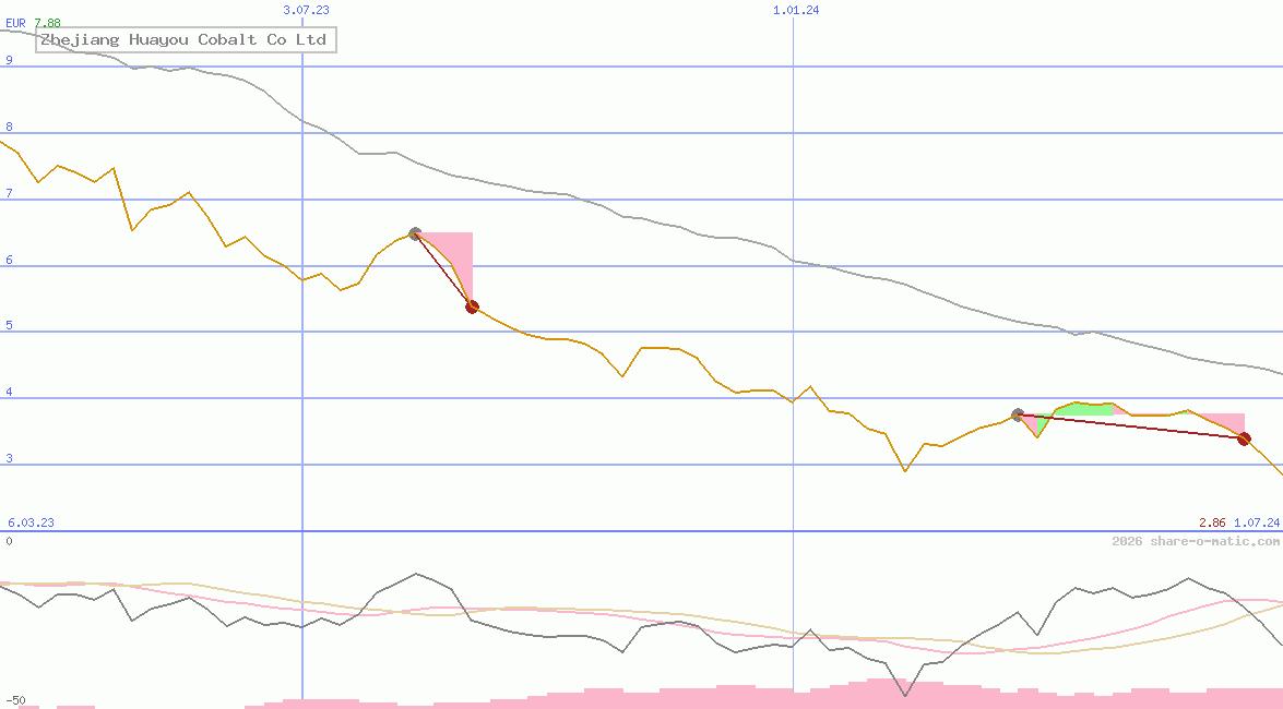 Zhejiang Huayou Cobalt Co Ltd