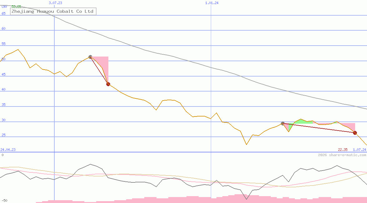 Zhejiang Huayou Cobalt Co Ltd