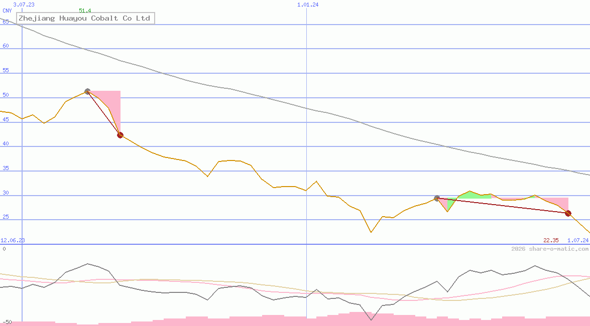 Zhejiang Huayou Cobalt Co Ltd