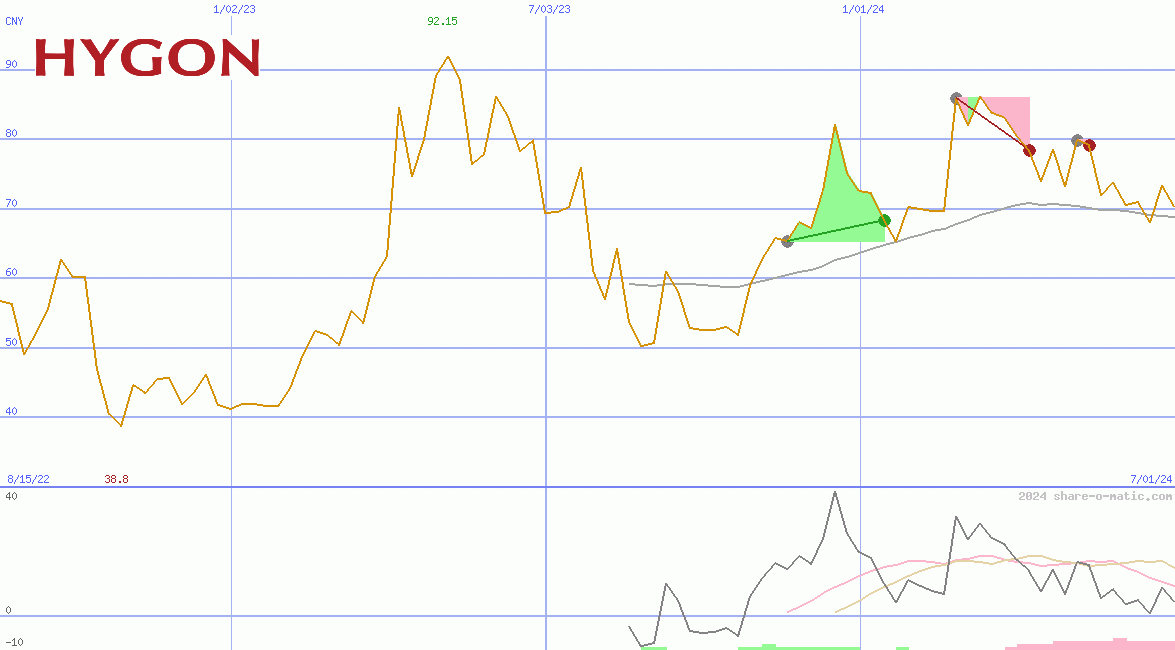 Hygon Information Technology Co Ltd