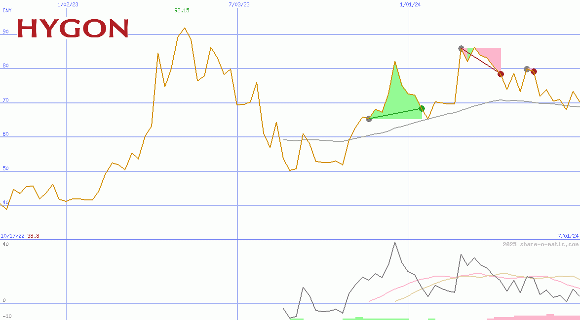 Hygon Information Technology Co Ltd