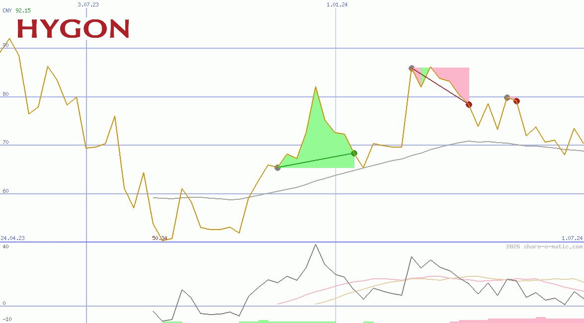 Hygon Information Technology Co Ltd
