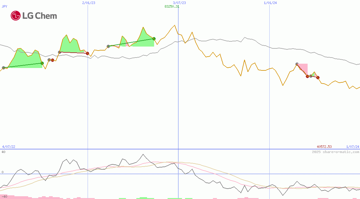 LG Chemical Ltd
