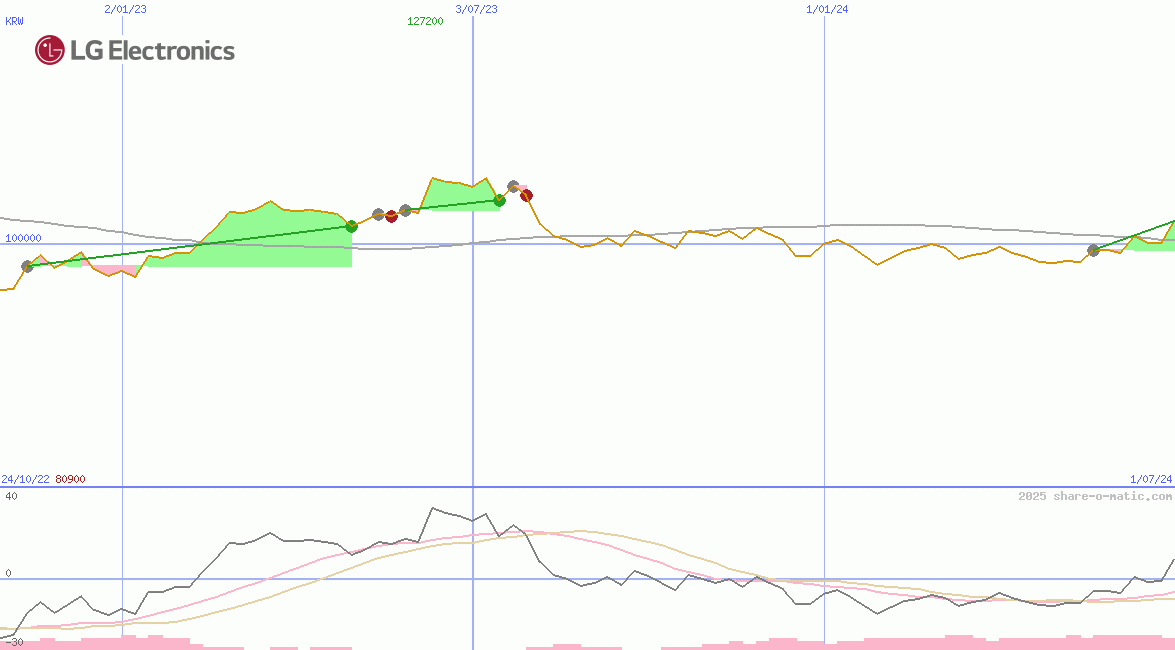 LG Electronics Inc