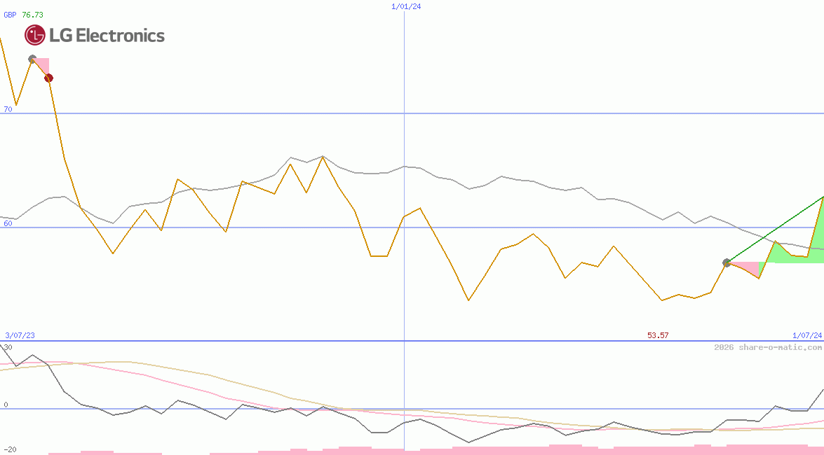 LG Electronics Inc