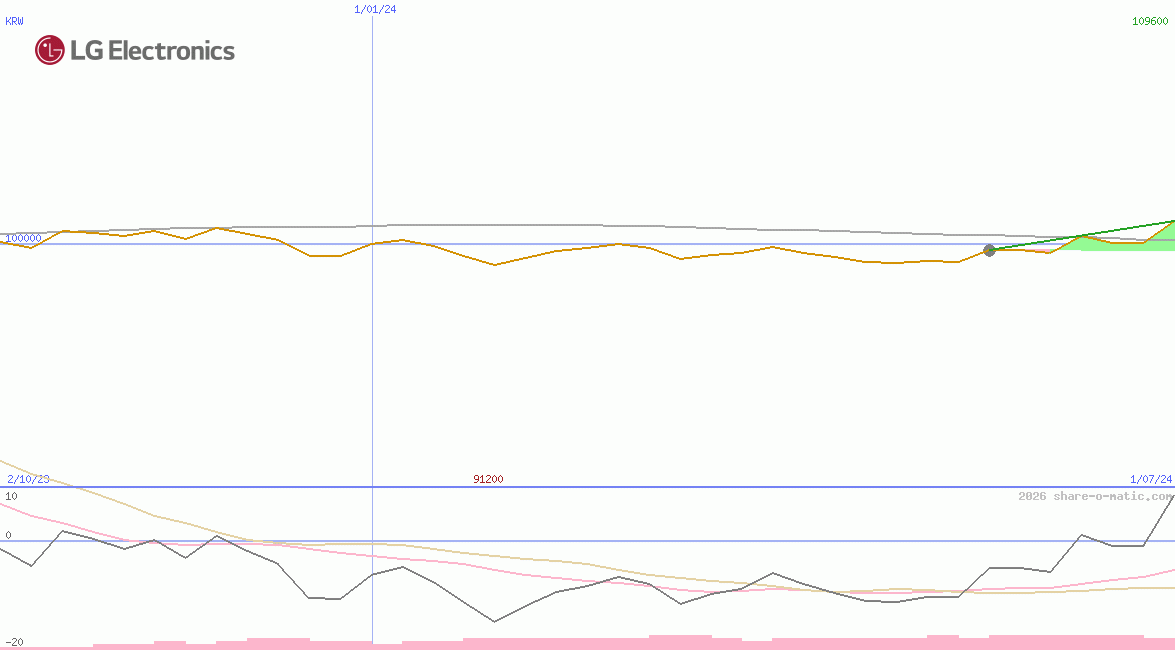 LG Electronics Inc