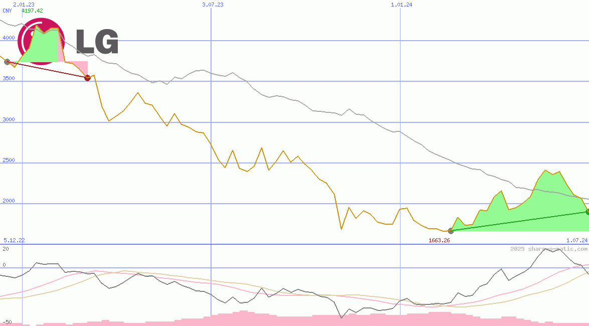 LG Household and Health Care Inc