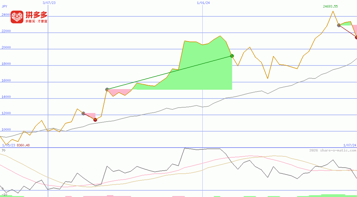 PDD Holdings Inc