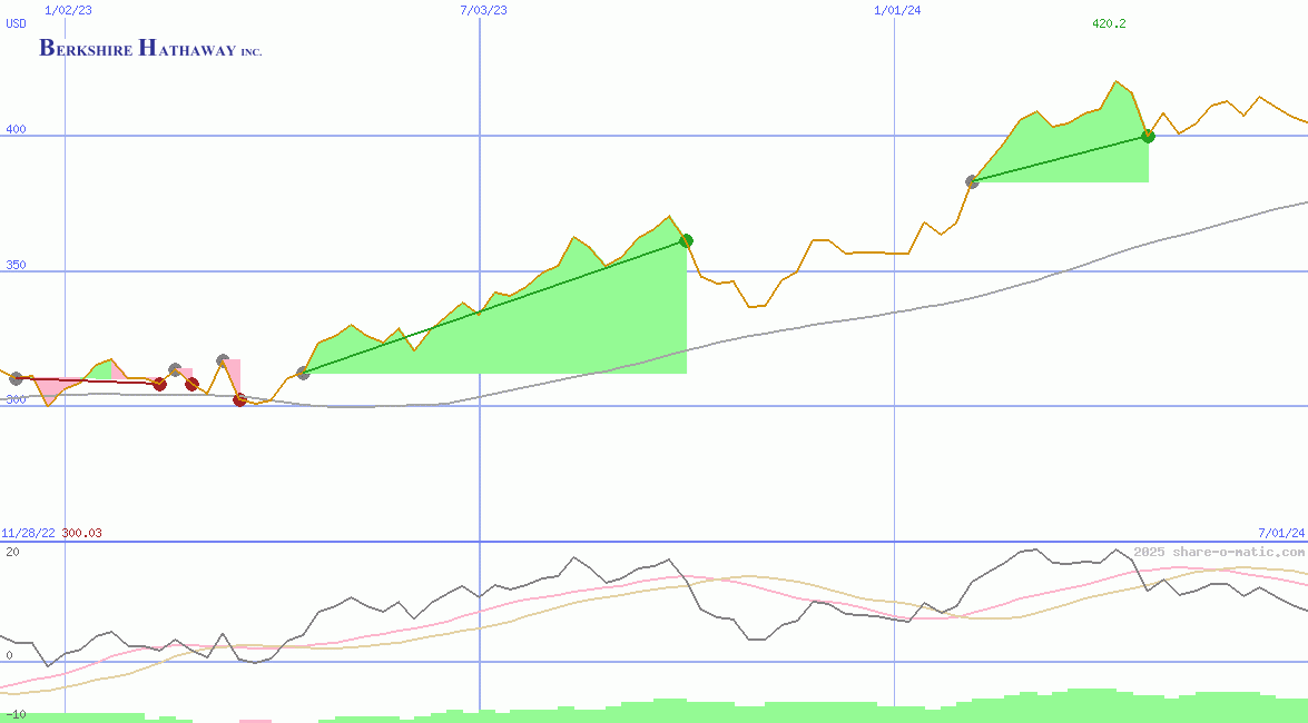Berkshire Hathaway Inc