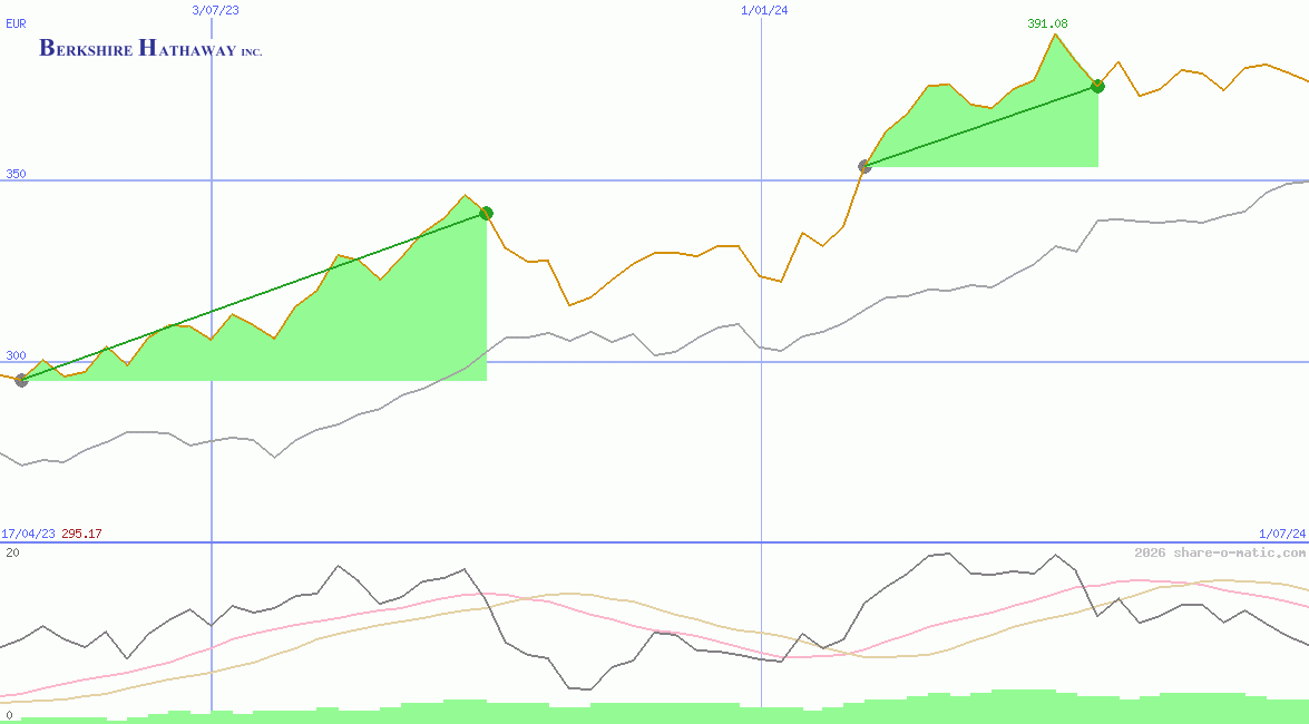 Berkshire Hathaway Inc
