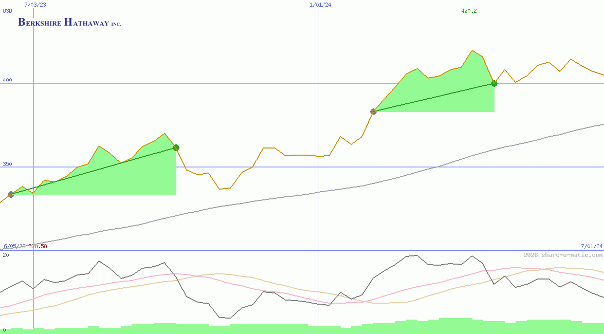 Berkshire Hathaway Inc