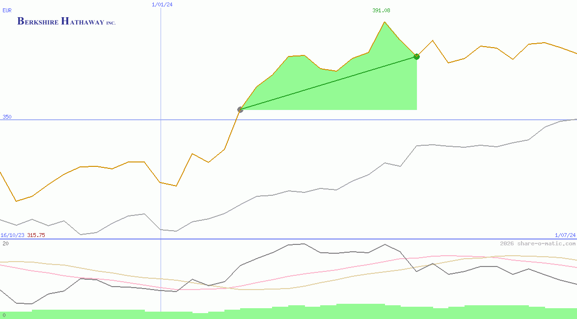 Berkshire Hathaway Inc