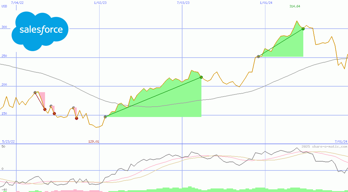 salesforce.com inc