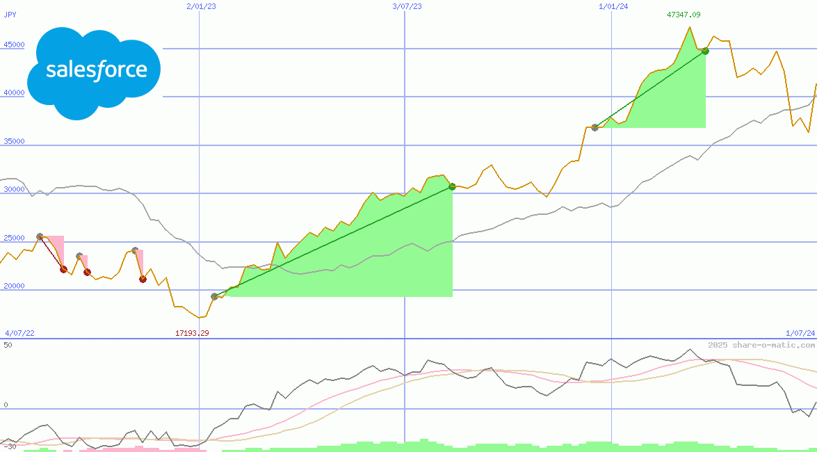 salesforce.com inc