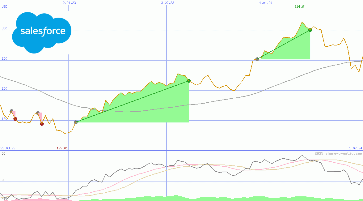 salesforce.com inc