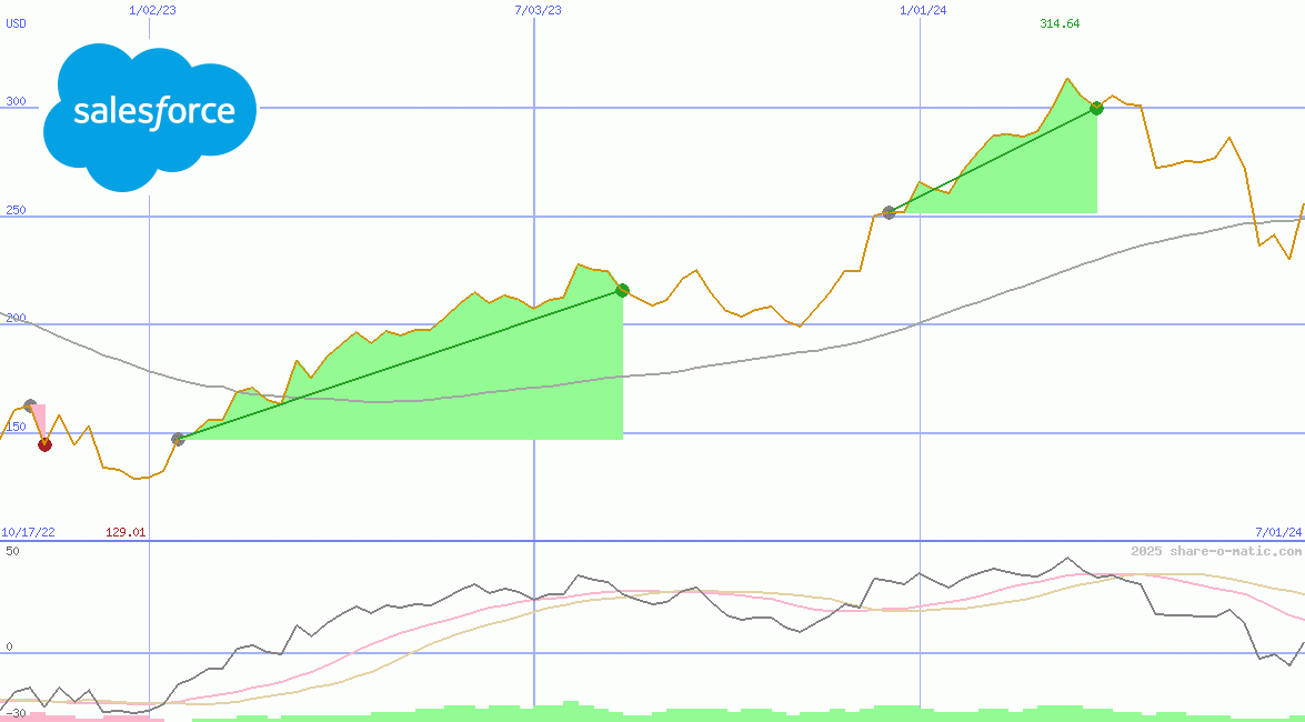 salesforce.com inc