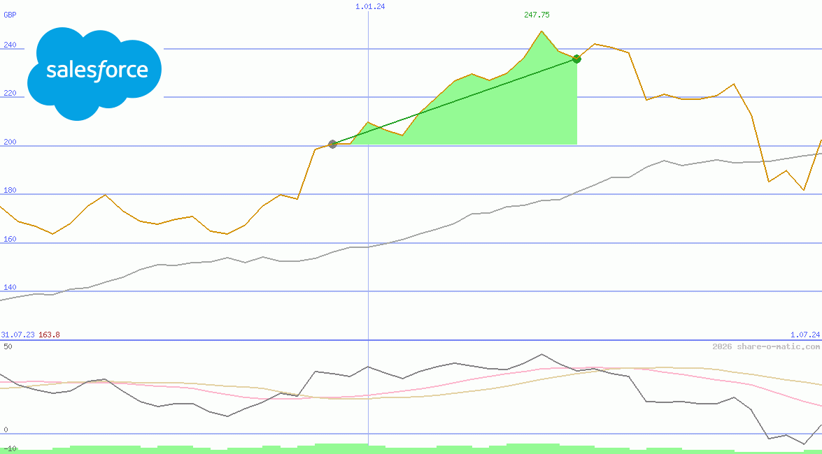 salesforce.com inc
