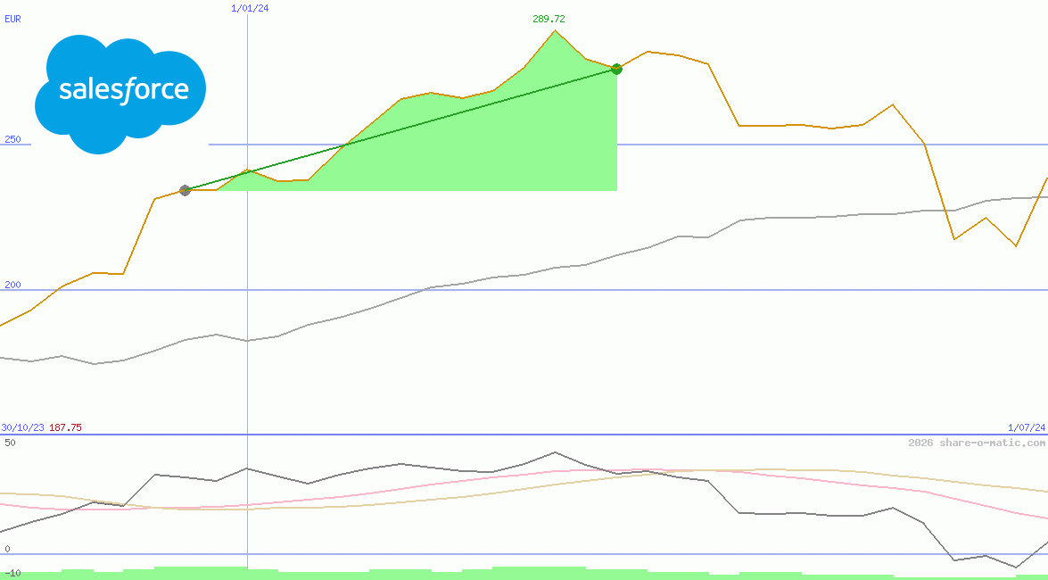 salesforce.com inc