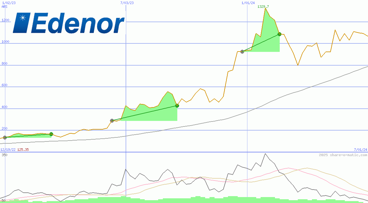Empresa Distribuidora y Comercializadora Norte SA