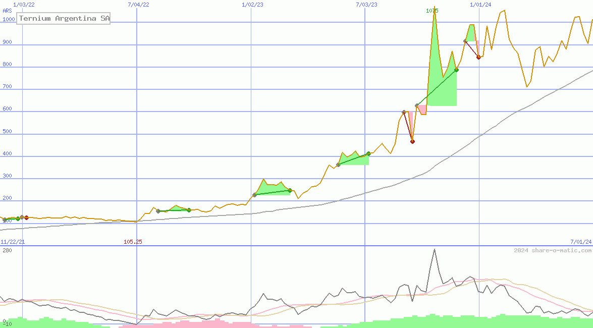 Ternium Argentina SA