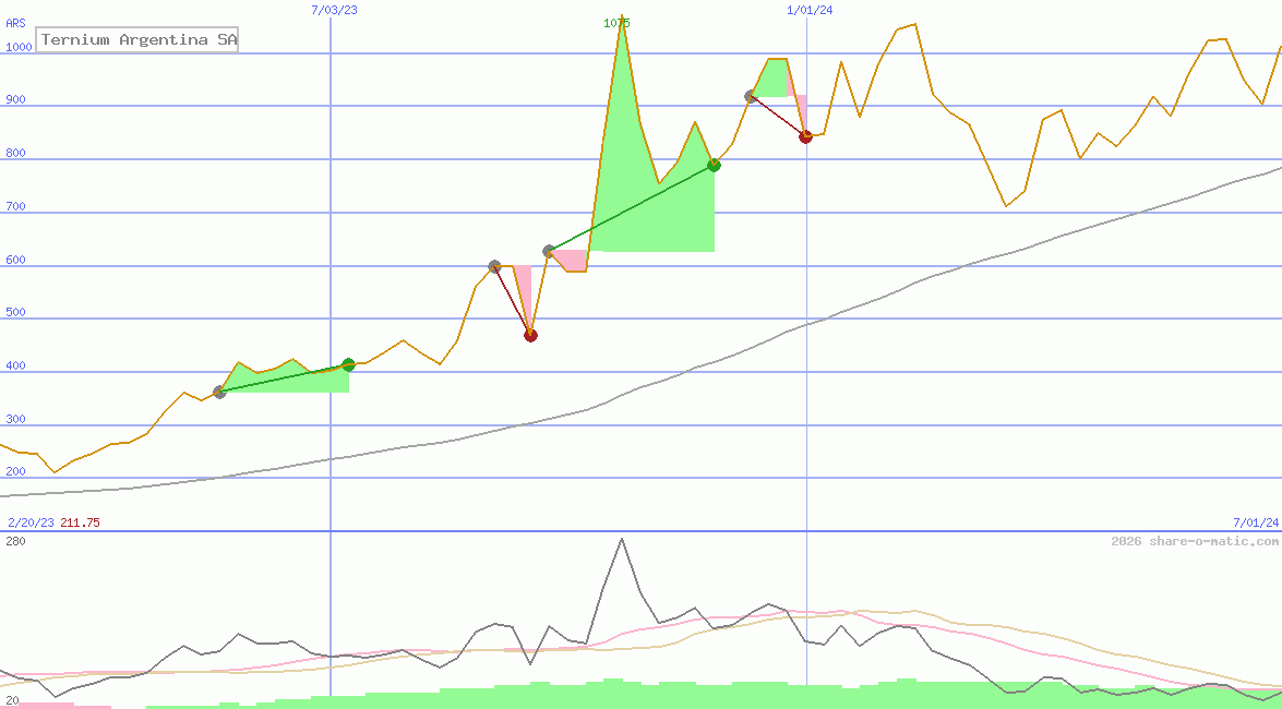 Ternium Argentina SA