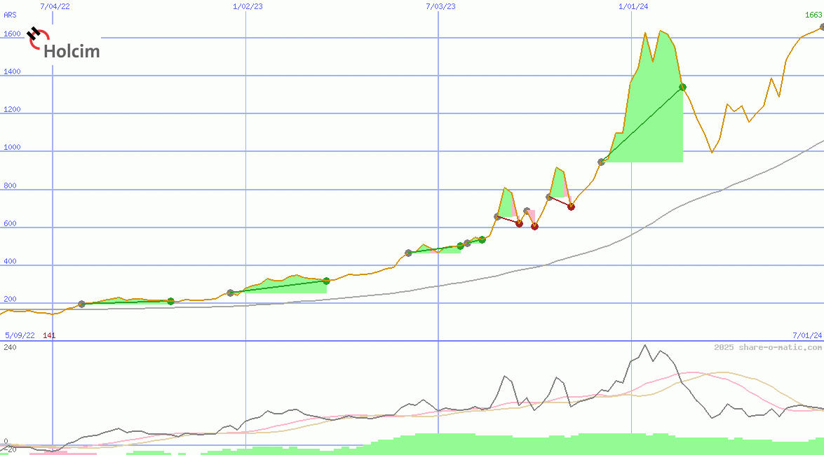 Holcim (Argentina) SA