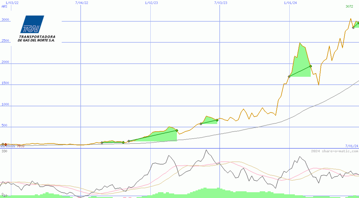 Transportadora de Gas del Norte SA C