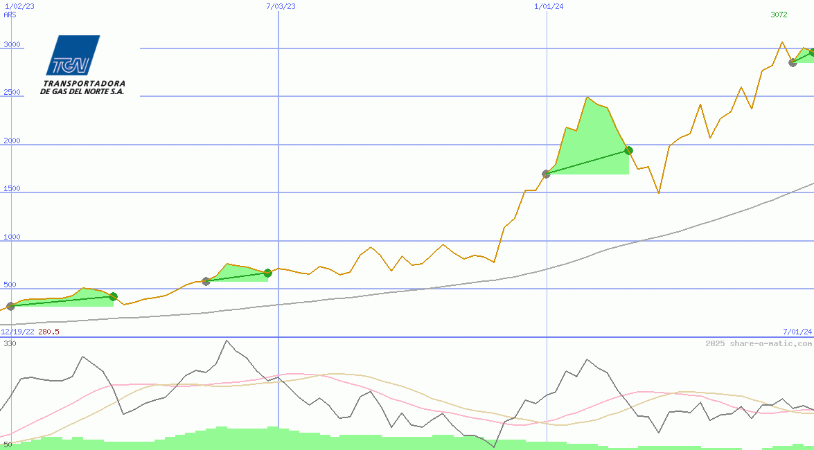 Transportadora de Gas del Norte SA C