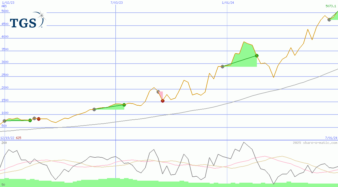 Transportadora de Gas del Sur SA B