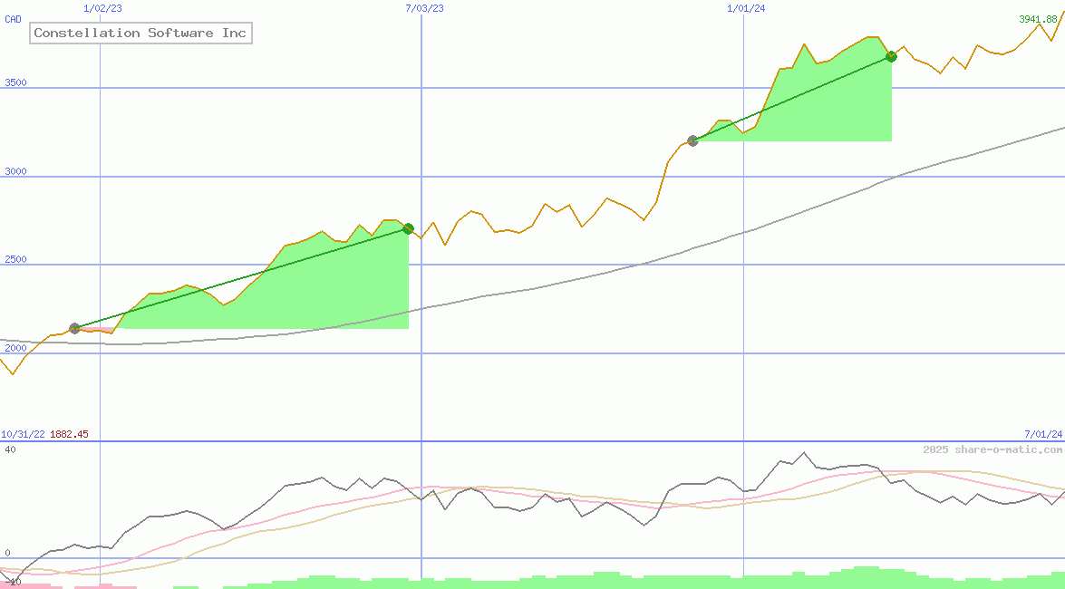 Constellation Software Inc
