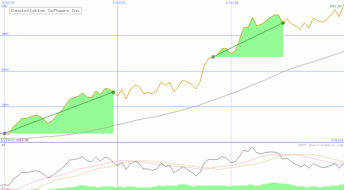Constellation Software Inc
