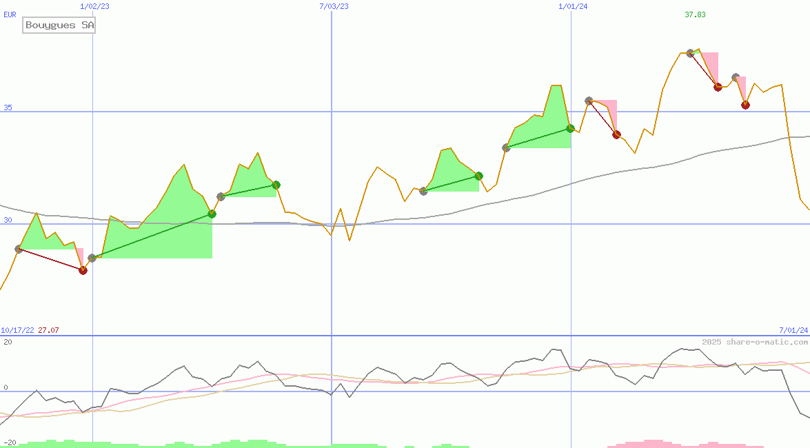 Bouygues SA