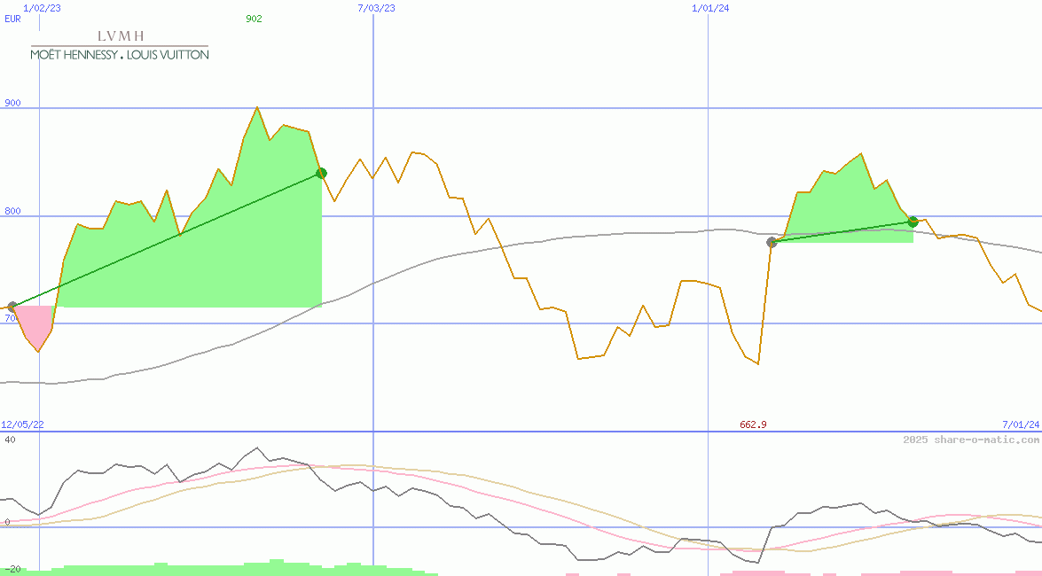 LVMH Moet Hennessy-Louis Vuitton